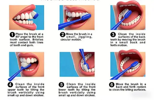 How to Brush Your Teeth Correctly